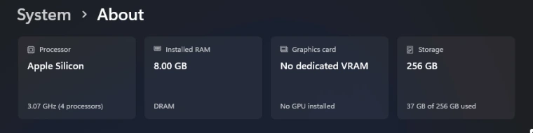 Windows 11 Settings, System, About page showing cards for Processor, Installed RAM of 8 GB, Graphics card, and Storage of 256 GB